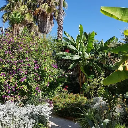 בית הארחה Deluxe Athos 50 Mp Garden Patio Golf &