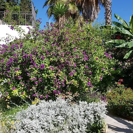 Deluxe Athos 50 Mp Garden Patio Golf & בית הארחה