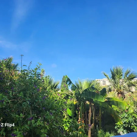 Deluxe Athos 50 Mp Garden Patio Golf & בית הארחה