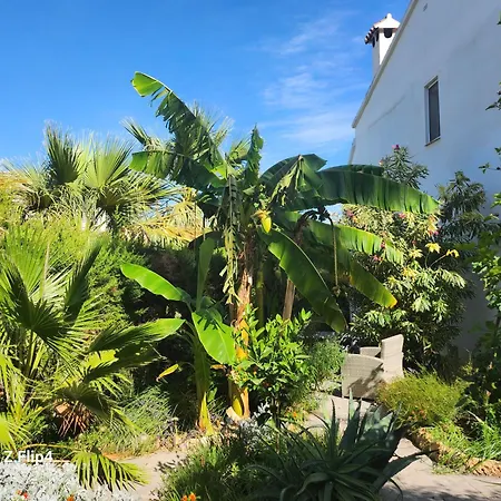 Deluxe Athos 50 Mp Garden Patio Golf &