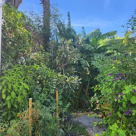 בית הארחה Deluxe Athos 50 Mp Garden Patio Golf & בנאלמדנה