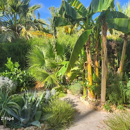 Deluxe Athos 50 Mp Garden Patio Golf &