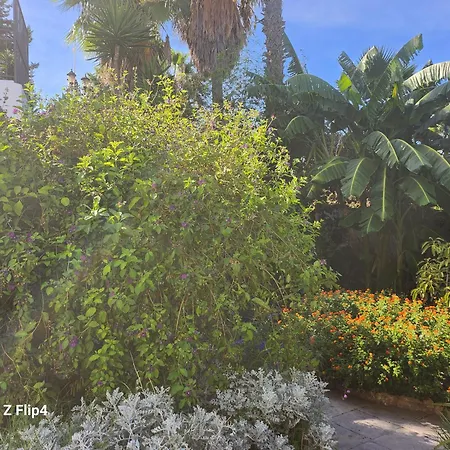 בית הארחה Deluxe Athos 50 Mp Garden Patio Golf & בנאלמדנה